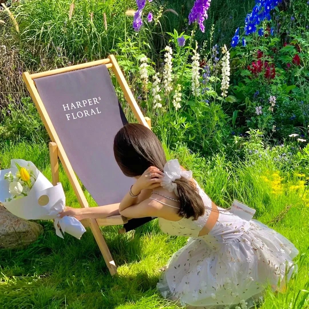 狐门秘事第一季